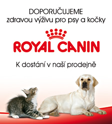 Doporučujeme zdravou výživu pro psy a kočky ROYAL CANIN. K dostání v naší prodejně.
